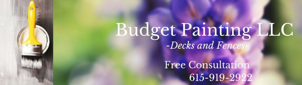 Budget Painting LLC Decks and Fencing Pressure Washing